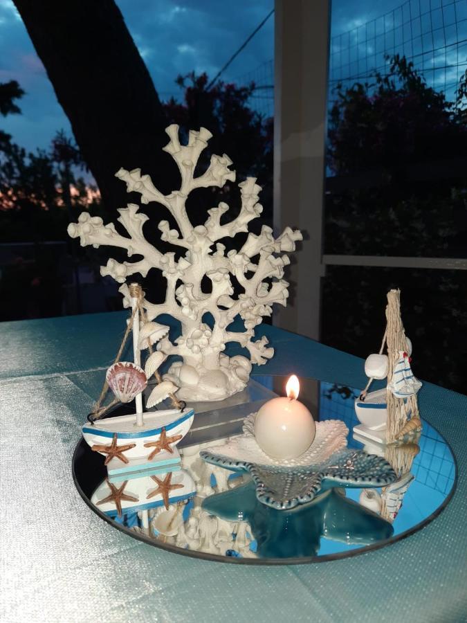 Miramare Bed&Food - Free Parking & Wifi Bed and Breakfast San Nicola Arcella Exteriör bild